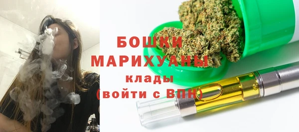 2c-b Осинники