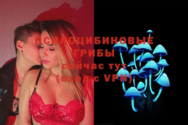 ПСИЛОЦИБИНОВЫЕ ГРИБЫ Остров