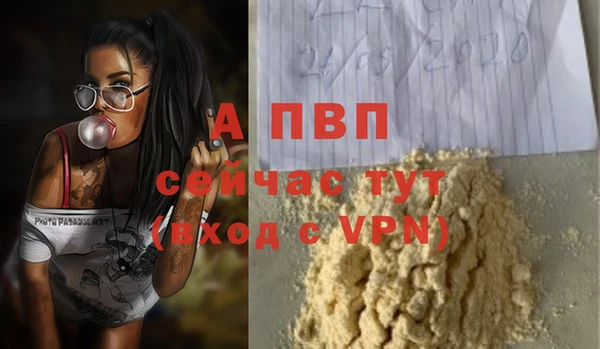твердый Осташков