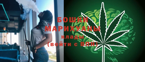2c-b Осинники