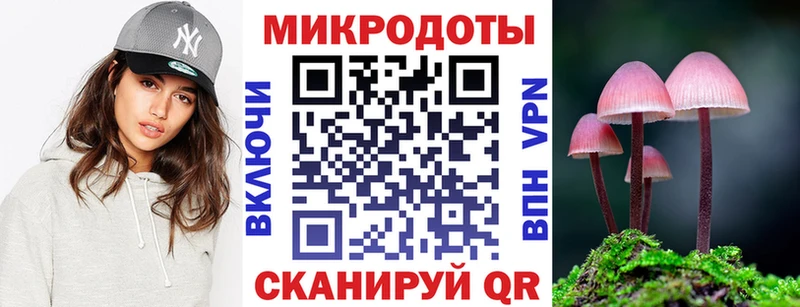 Псилоцибиновые грибы Cubensis  Рославль 